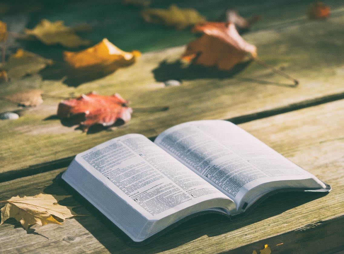 Bible with autumn leaves